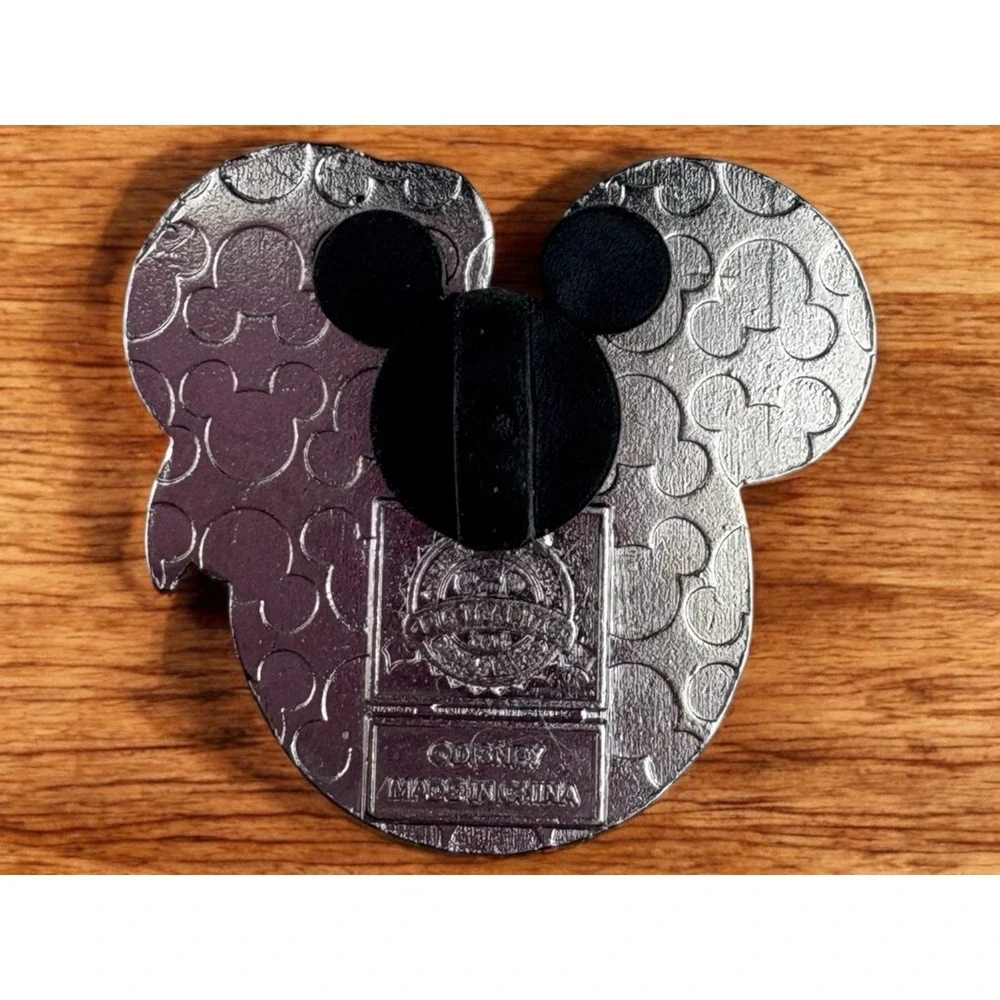 Disney 2011 pin